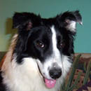 Valentine was adopted in March, 2005